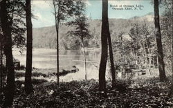 Head of Oquaga Lake Postcard