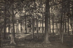 Scott's Casino and Grove Postcard