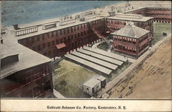 Endicott-Johnson Co. Factory Lestershire, NY Postcard Postcard