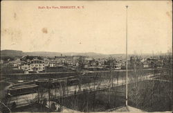 Bird's Eye View Endicott, NY Postcard Postcard