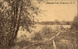 Chenango Point Binghamton, NY Postcard Postcard