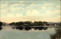 Junction of the Susquehanna and Chenango Rivers Postcard