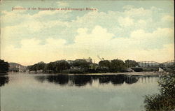 Junction of the Susquehanna and Chenango Rivers Postcard