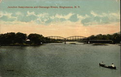 Junction of Susquenna and Chenago Rivers Postcard