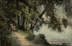 Lovers' Lane along the Susquehanna Binghamton, NY Postcard Postcard