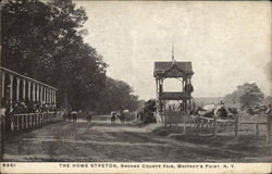 Broome County Fair - The Home Stretch Whitney Point, NY Postcard Postcard