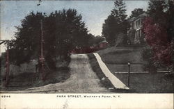 Park Street, Whitney's Point Postcard