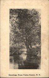 View of River Postcard