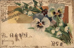 Greetings - Pansies Postcard