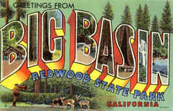 Greetings from Big Basin Redwood State Park - Large Letter Postcard