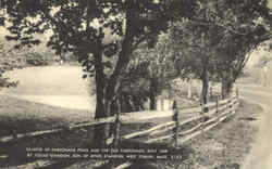 Glimpse Of Parsonage Pond And The Old Parsonage Postcard