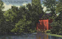 The Old Mill Alley Spring State Park Postcard