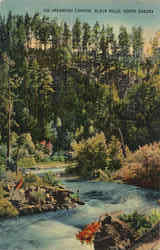 Spearfish Canyon Black Hills, SD Postcard Postcard