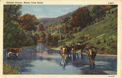 Hillside Stream Scenic, ME Postcard Postcard