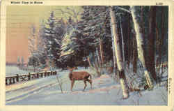 Winter Time In Maine Postcard