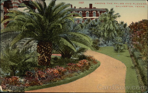 Among the Palms and Flowers Galveston, TX