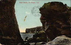 Shell Beach Postcard