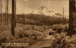 Auto Road Postcard