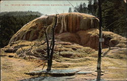 Orange Geyser Postcard