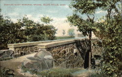 Charles Eliot Memorial Bridge Postcard