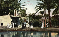 Suez: Fontaine de Moise Postcard