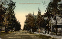 Looking Up Botsford Street Postcard