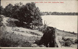 Sages Point, Lake Mill, Goblesville Michigan Postcard Postcard