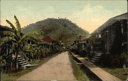 Street View in Pedro Miguel - Azores Postcard