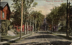 Looking Up Pleasant St Postcard