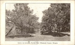 Grove on Townsite, Tillamook County Postcard