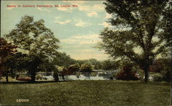 Scene in Calvary Cemetery St. Louis, MO Postcard Postcard