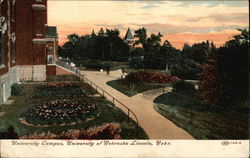 University Campus, University of Nebraska Postcard