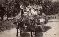 Old Fashioned Straw Ride Deposit, NY Postcard Postcard