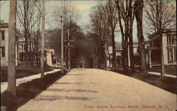 Court Street, Looking North Deposit, NY Postcard Postcard