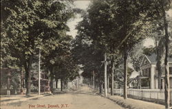 Pine Street Deposit, NY Postcard Postcard