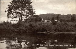 River Scene, Thomas Valley Farm Deposit, NY Postcard Postcard