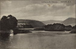 Looking up the Delaware Deposit, NY Postcard Postcard