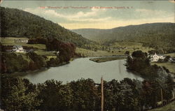 The Riverside and The Homestead on the Delaware River Postcard