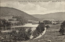 Delaware River, The Riverside, and The Homestead Deposit, NY Postcard Postcard