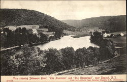 View showing Delaware River, The Riverside, and The Homestead Deposit, NY Postcard Postcard