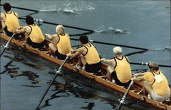 The Dirty Dozen Rowing Team Oakland, CA Postcard Postcard