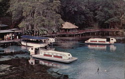 Rainbow River Cruise and Rainbow Trail Postcard