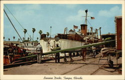 Banana Docks Tampa, FL Postcard Postcard