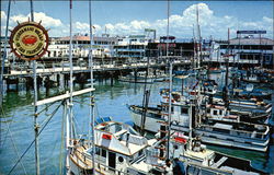 Fisherman's Wharf Postcard