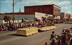 Saint Patrick's Parade Dublin, GA Postcard Postcard