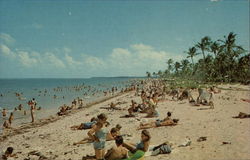 Beach Scene on Barrier Island Apalachicola, FL Postcard Postcard