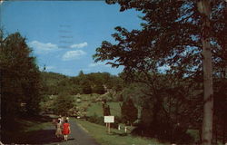 Jockey Hollow Burying Ground Morristown, NJ Postcard Postcard