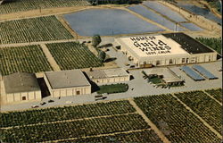 Aerial View of Guild Wine Co Lodi, CA Postcard Postcard