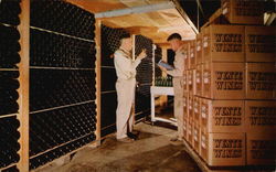 Checking Wines in the Bins Napa, CA Postcard Postcard