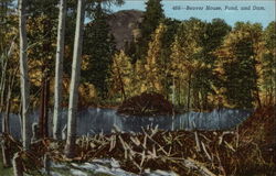 Beaver House, Pond and Dam Postcard Postcard